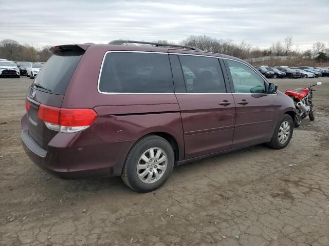 2008 Honda Odyssey EXL