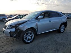 Salvage cars for sale at Antelope, CA auction: 2010 Lexus RX 450
