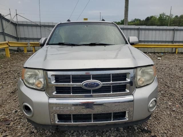 2009 Ford Escape Limited