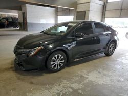 Toyota Corolla le salvage cars for sale: 2021 Toyota Corolla LE