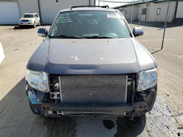 2010 Ford Escape Limited