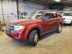 Ford Escape XLT salvage cars for sale: 2012 Ford Escape XLT