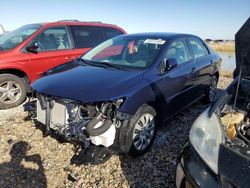 Salvage cars for sale at Magna, UT auction: 2012 Toyota Corolla Base