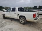 2011 Dodge Dakota SLT