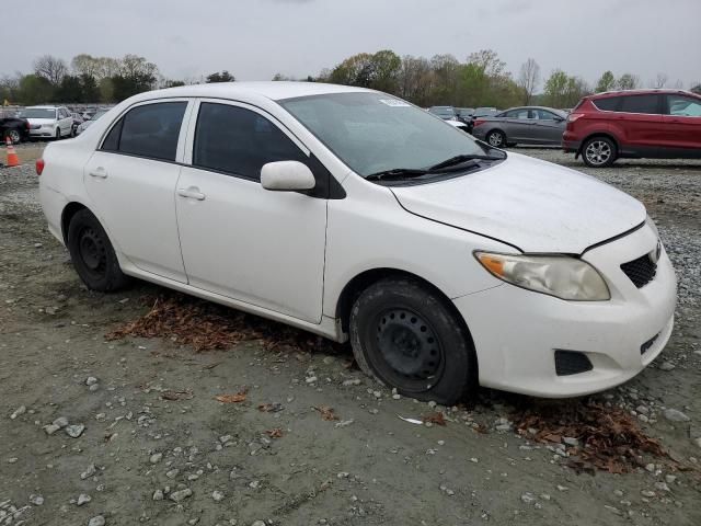 2010 Toyota Corolla Base