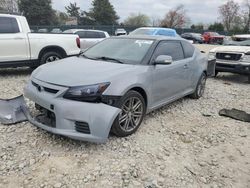 Salvage cars for sale at Madisonville, TN auction: 2012 Scion TC