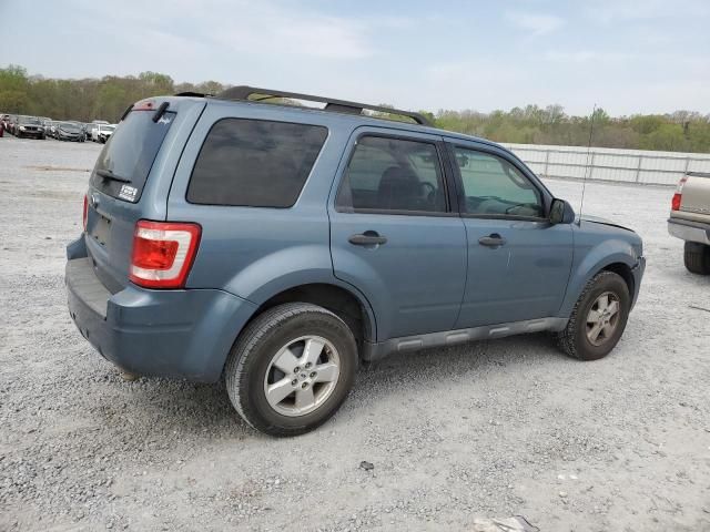 2010 Ford Escape XLT