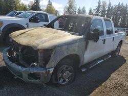 Salvage cars for sale from Copart Arlington, WA: 2013 Ford F250 Super Duty
