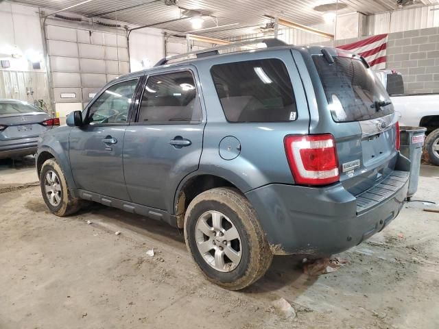 2010 Ford Escape Limited