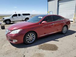 Salvage cars for sale at Albuquerque, NM auction: 2011 Lexus ES 350