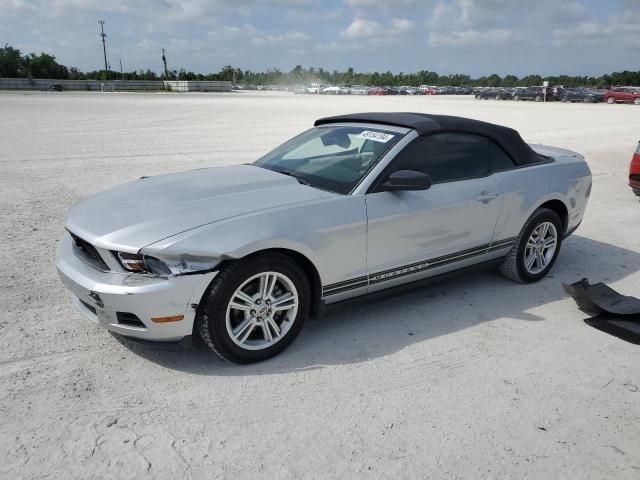 2010 Ford Mustang