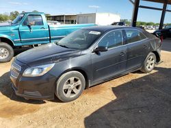 Chevrolet salvage cars for sale: 2013 Chevrolet Malibu LS