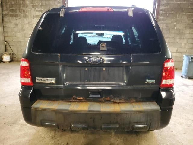 2010 Ford Escape XLT