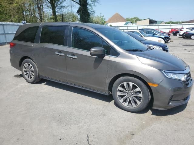 2022 Honda Odyssey EXL