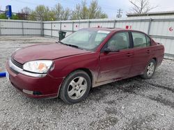 Salvage cars for sale from Copart Walton, KY: 2004 Chevrolet Malibu LT
