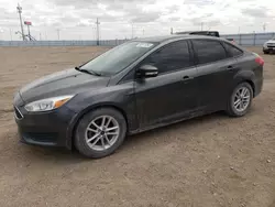 Salvage cars for sale at Greenwood, NE auction: 2016 Ford Focus SE