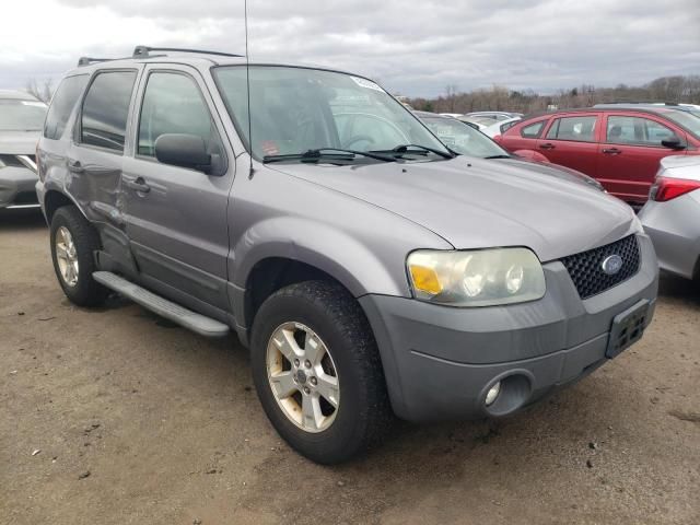 2007 Ford Escape XLT