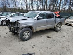 Toyota Tacoma salvage cars for sale: 2019 Toyota Tacoma Double Cab