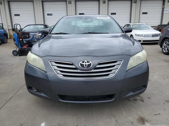 2009 Toyota Camry Hybrid