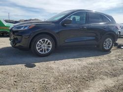 Salvage cars for sale at North Las Vegas, NV auction: 2022 Ford Escape SE