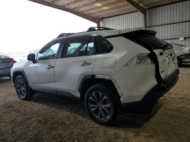 2023 Toyota Rav4 Limited