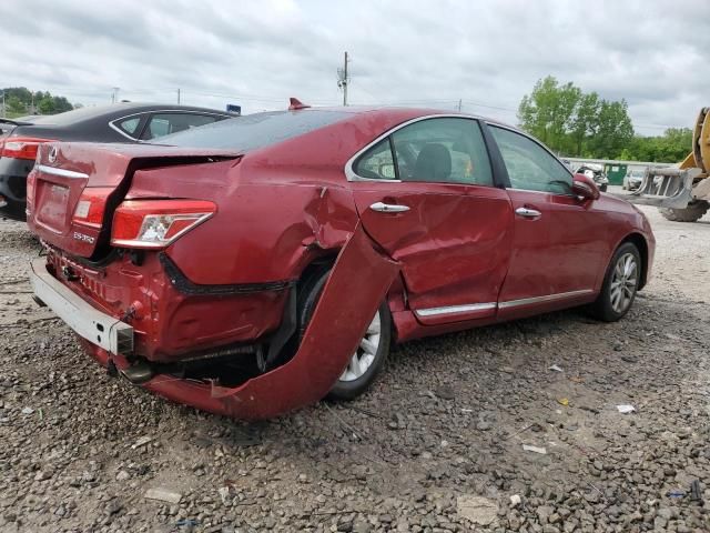 2010 Lexus ES 350