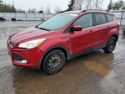 Ford Escape SE salvage cars for sale: 2016 Ford Escape SE