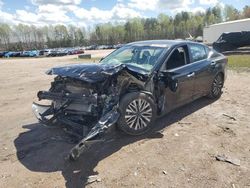 Salvage cars for sale at Charles City, VA auction: 2024 Nissan Altima SV