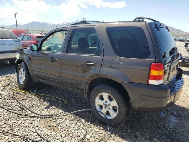 2006 Ford Escape XLT