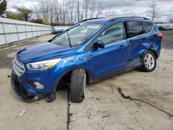 Salvage cars for sale at Windsor, NJ auction: 2019 Ford Escape SEL