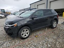 Ford Edge sel salvage cars for sale: 2014 Ford Edge SEL