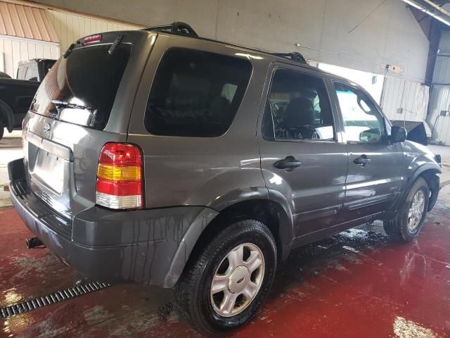 2002 Ford Escape XLT