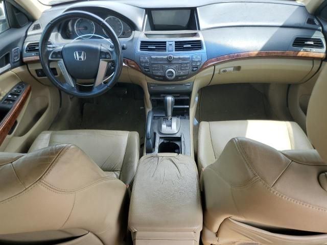 2011 Honda Accord EXL