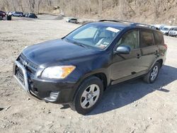 Salvage cars for sale from Copart Marlboro, NY: 2012 Toyota Rav4