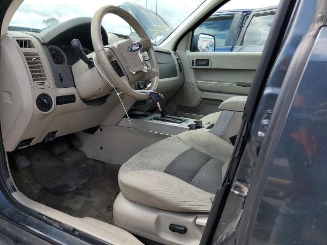 2008 Ford Escape XLT