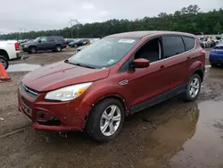 Salvage cars for sale at Greenwell Springs, LA auction: 2014 Ford Escape SE