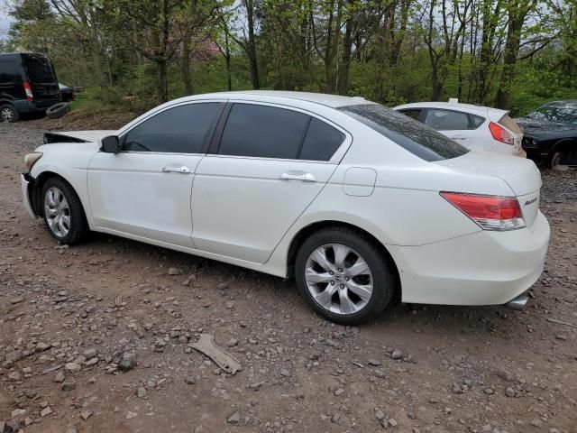 2008 Honda Accord EXL