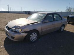 Toyota Vehiculos salvage en venta: 2002 Toyota Corolla CE