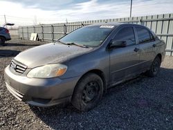 Salvage cars for sale from Copart Ontario Auction, ON: 2004 Toyota Corolla CE