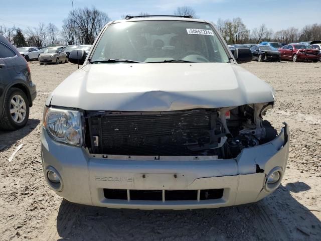 2008 Ford Escape XLT