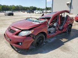 Vehiculos salvage en venta de Copart Apopka, FL: 2009 Toyota Corolla Base