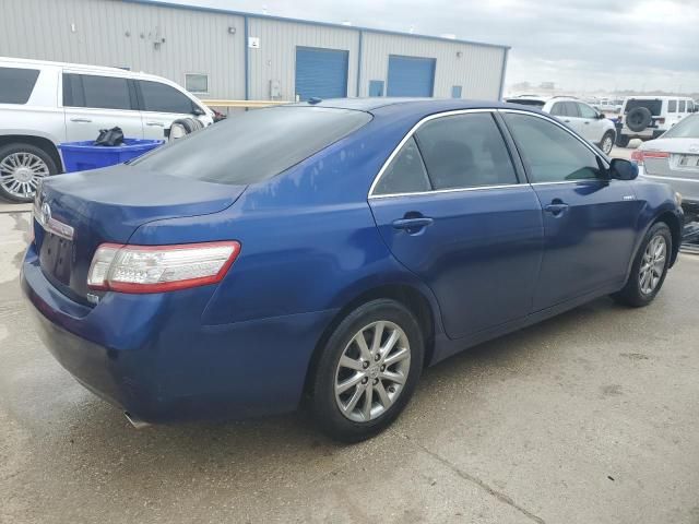 2010 Toyota Camry Hybrid