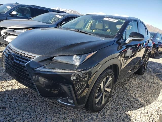 2019 Lexus NX 300H