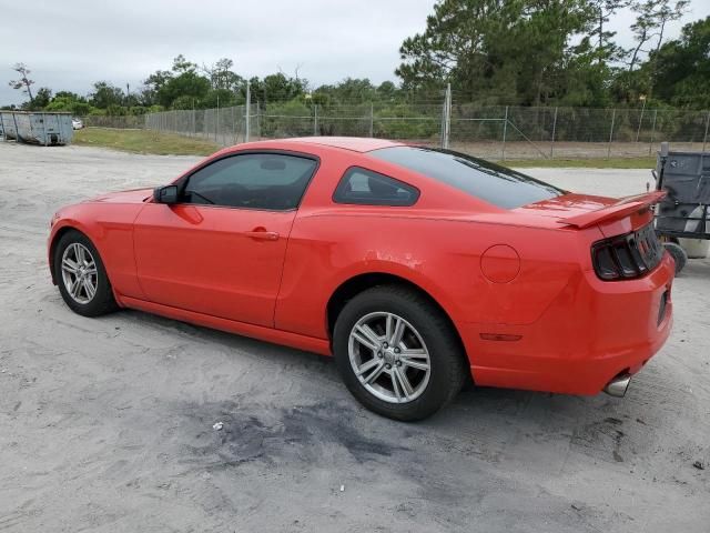 2013 Ford Mustang