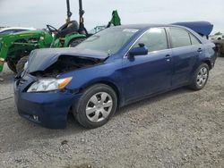 Salvage cars for sale at Earlington, KY auction: 2007 Toyota Camry CE