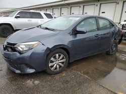 Salvage cars for sale from Copart Louisville, KY: 2016 Toyota Corolla L