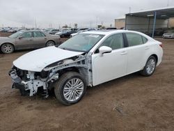 Salvage cars for sale at Brighton, CO auction: 2013 Lexus ES 350