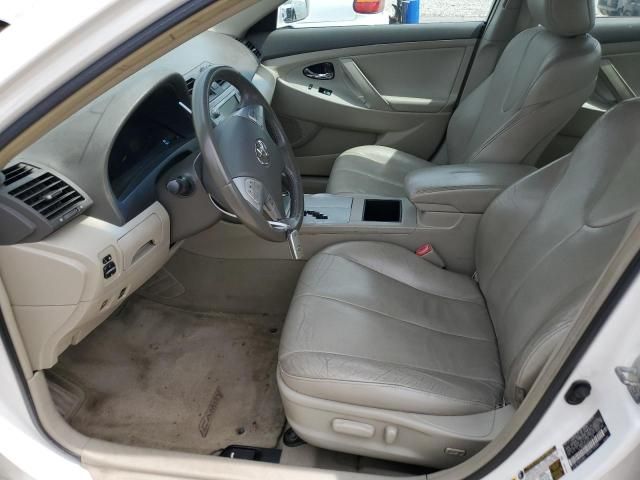 2009 Toyota Camry Hybrid