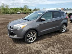 Salvage cars for sale at auction: 2014 Ford Escape Titanium