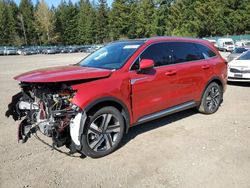 Salvage cars for sale at Graham, WA auction: 2023 KIA Sorento SXP